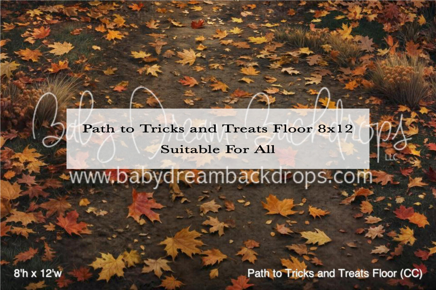 Autumn leaves scattered on a path photography backdrop, 8x12ft, suitable for all photography sessions.