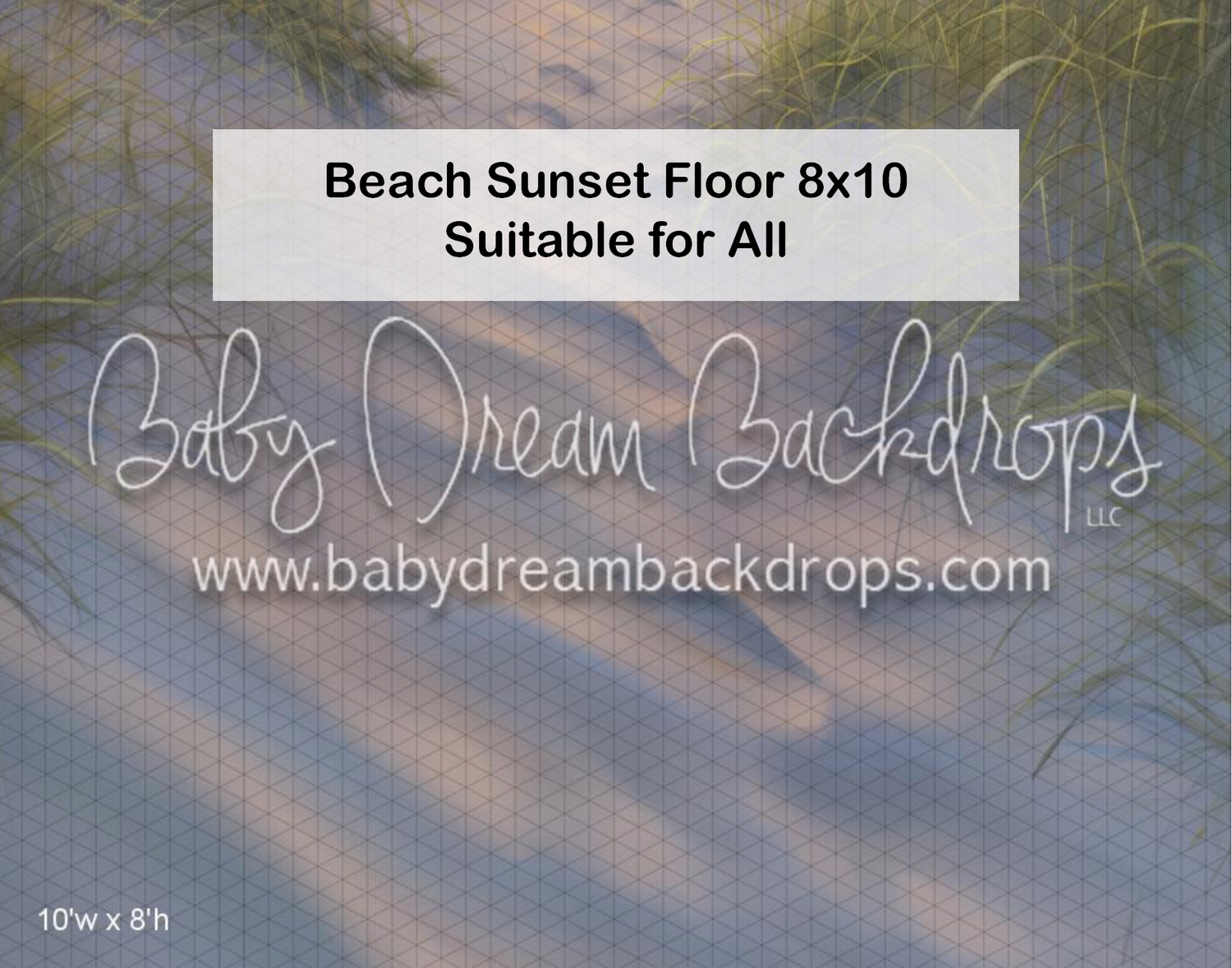 Beach sunset floor backdrop 8x10 with soft sand dunes and sea grass, suitable for all photography sessions.