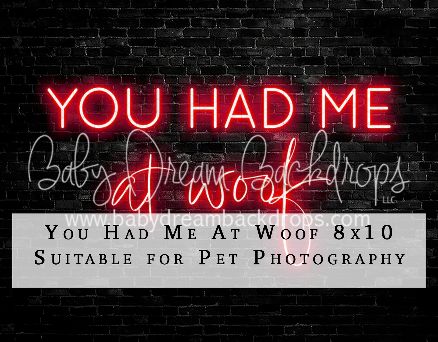 You Had Me At Woof 8x10 neon sign pet photography backdrop on dark brick wall background.