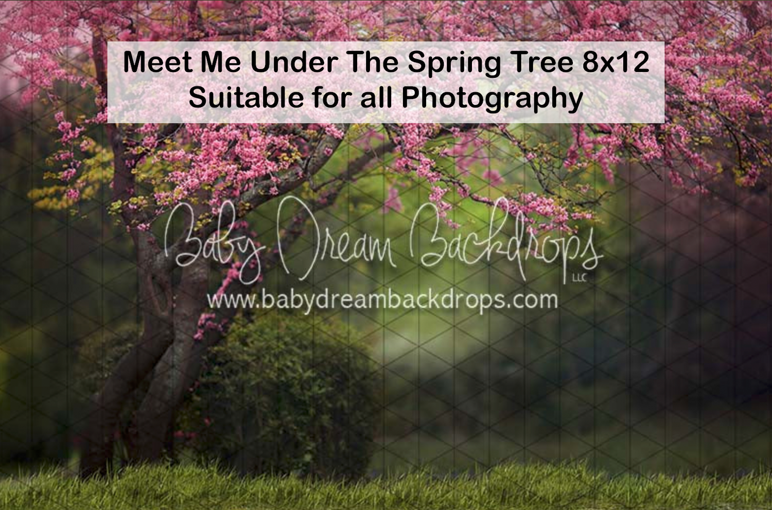 Meet Me Under The Spring Tree photography backdrop with pink cherry blossom tree and green meadow, 8x12.