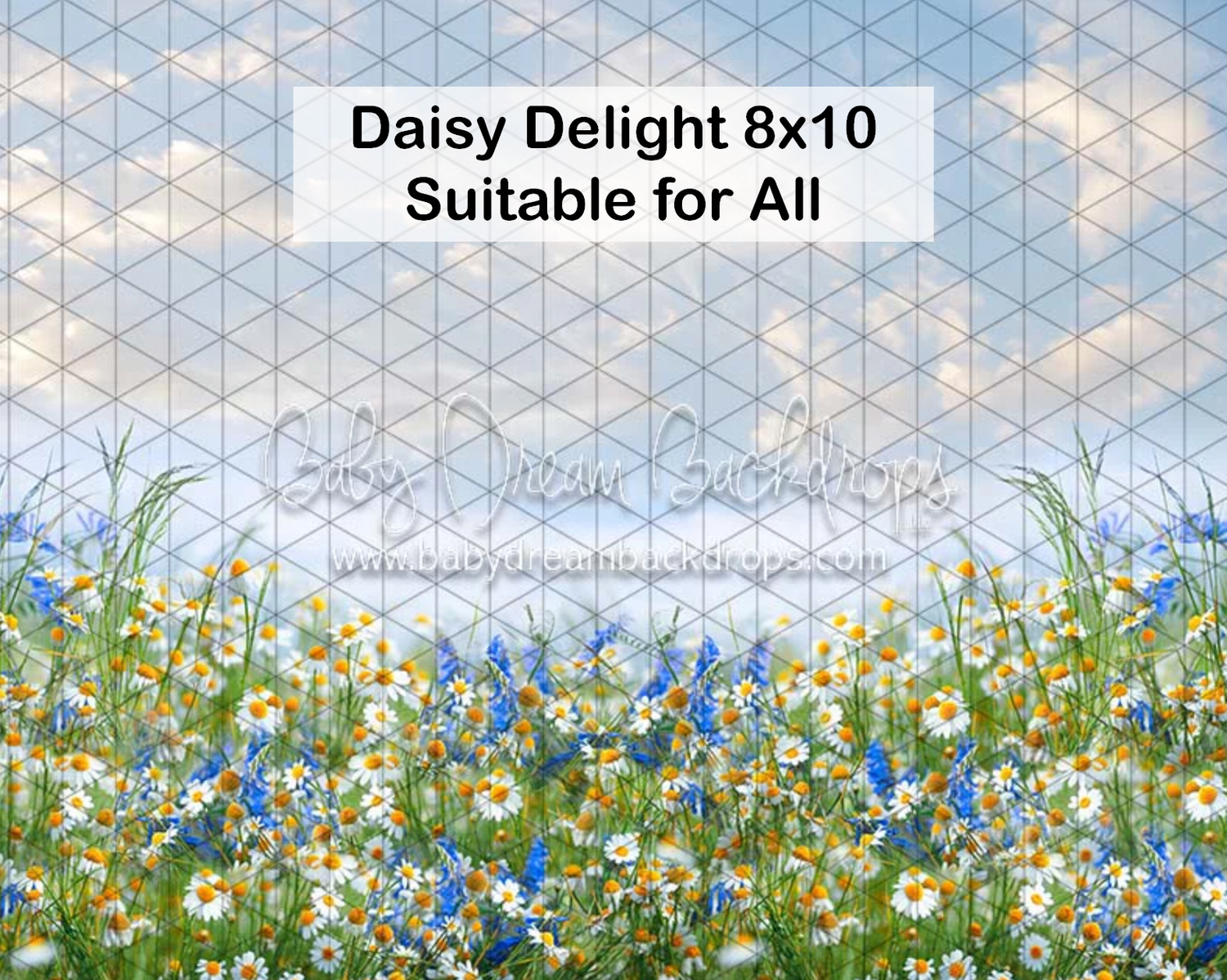 Daisy Delight 8x10 photography backdrop featuring wildflowers under a blue cloudy sky, suitable for all.