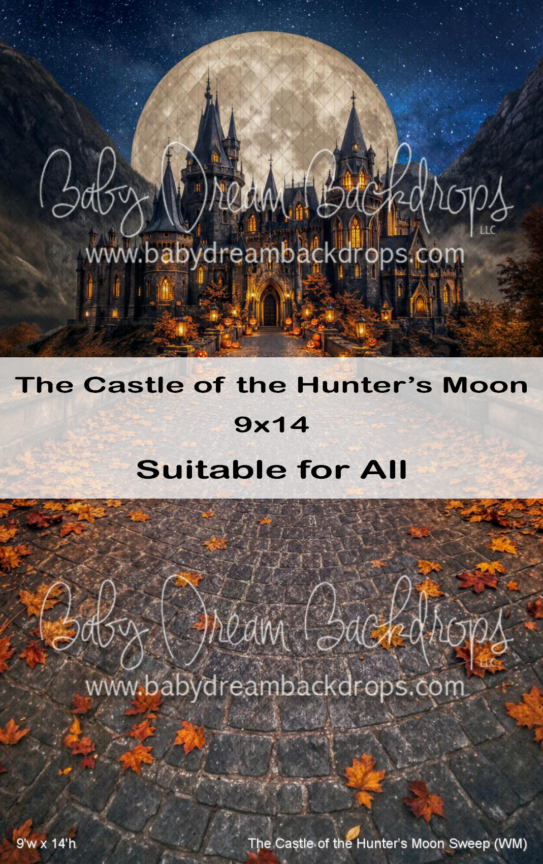 Fantasy castle backdrop with hunter's moon and autumn cobblestone sweep, 9x14, suitable for all photography.