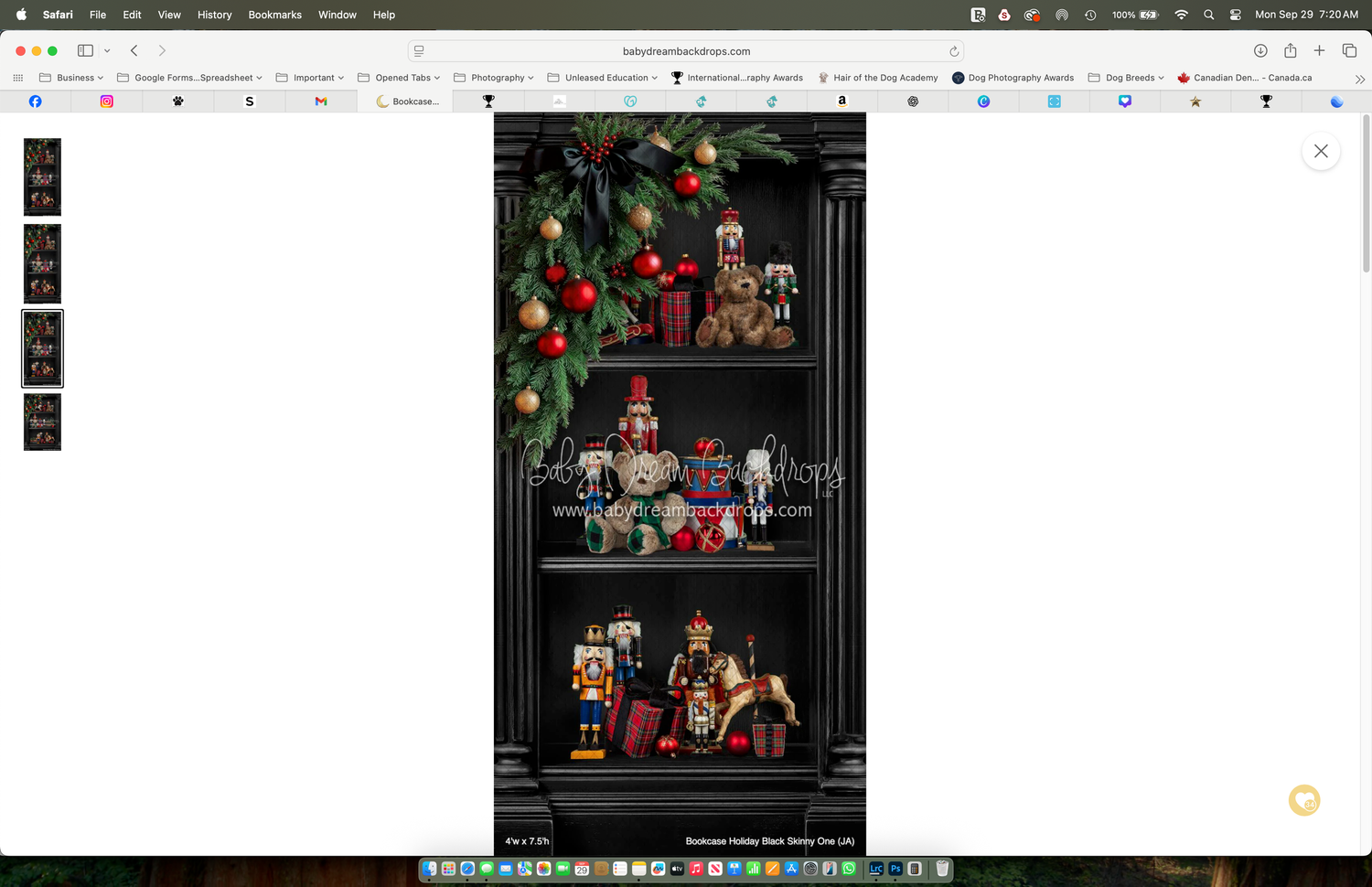 Decorative black bookshelf with Christmas nutcrackers, ornaments, and festive holiday figurines display.