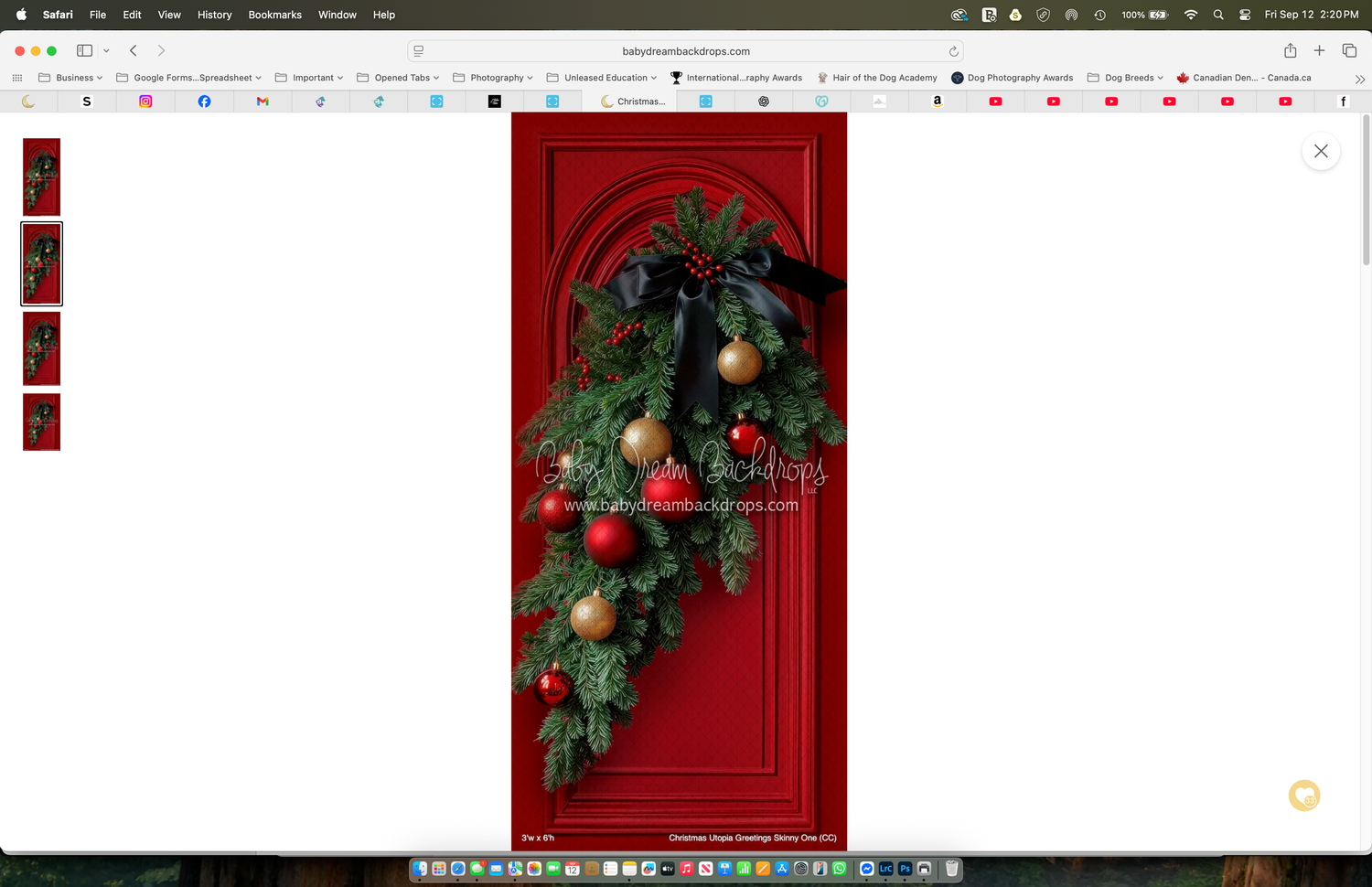 Red door adorned with festive Christmas swag featuring pine branches, gold and red ornaments, and a decorative bow.