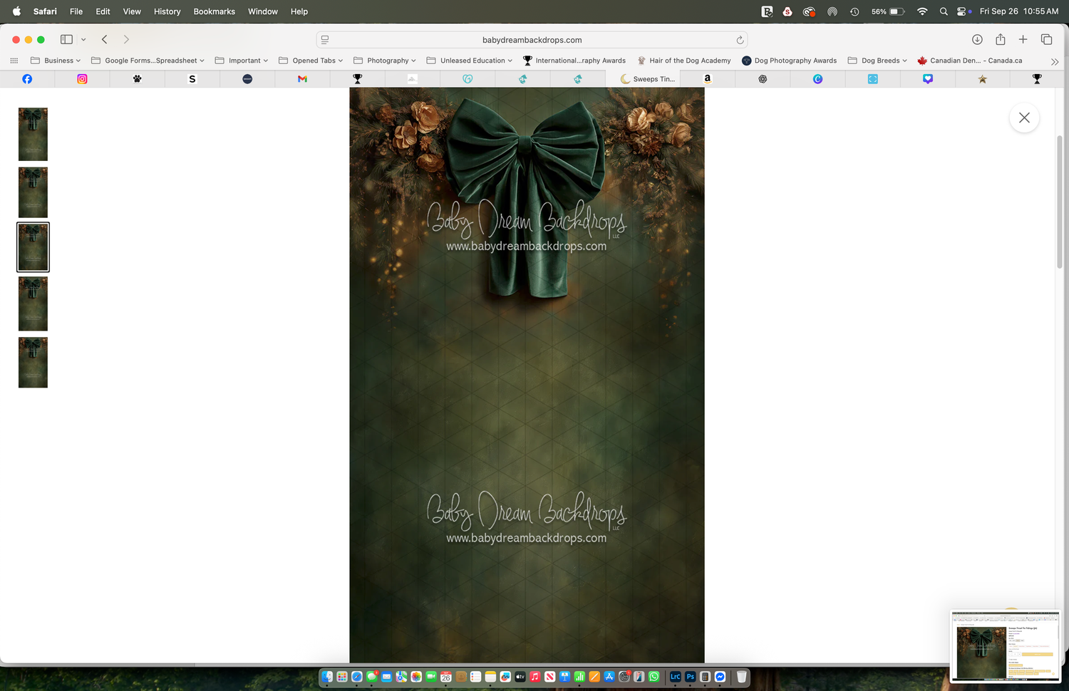 Dark teal bow on moody floral photography backdrop with autumn leaves for portrait sessions.