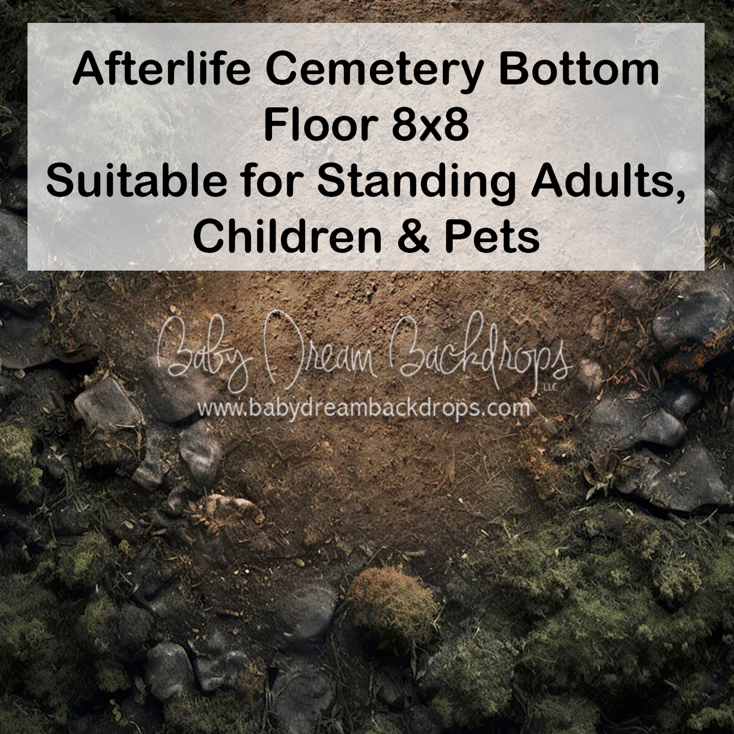 Afterlife Cemetery Bottom Floor 8x8 photography backdrop featuring dark rocky ground with moss, for adults, children, and pets.