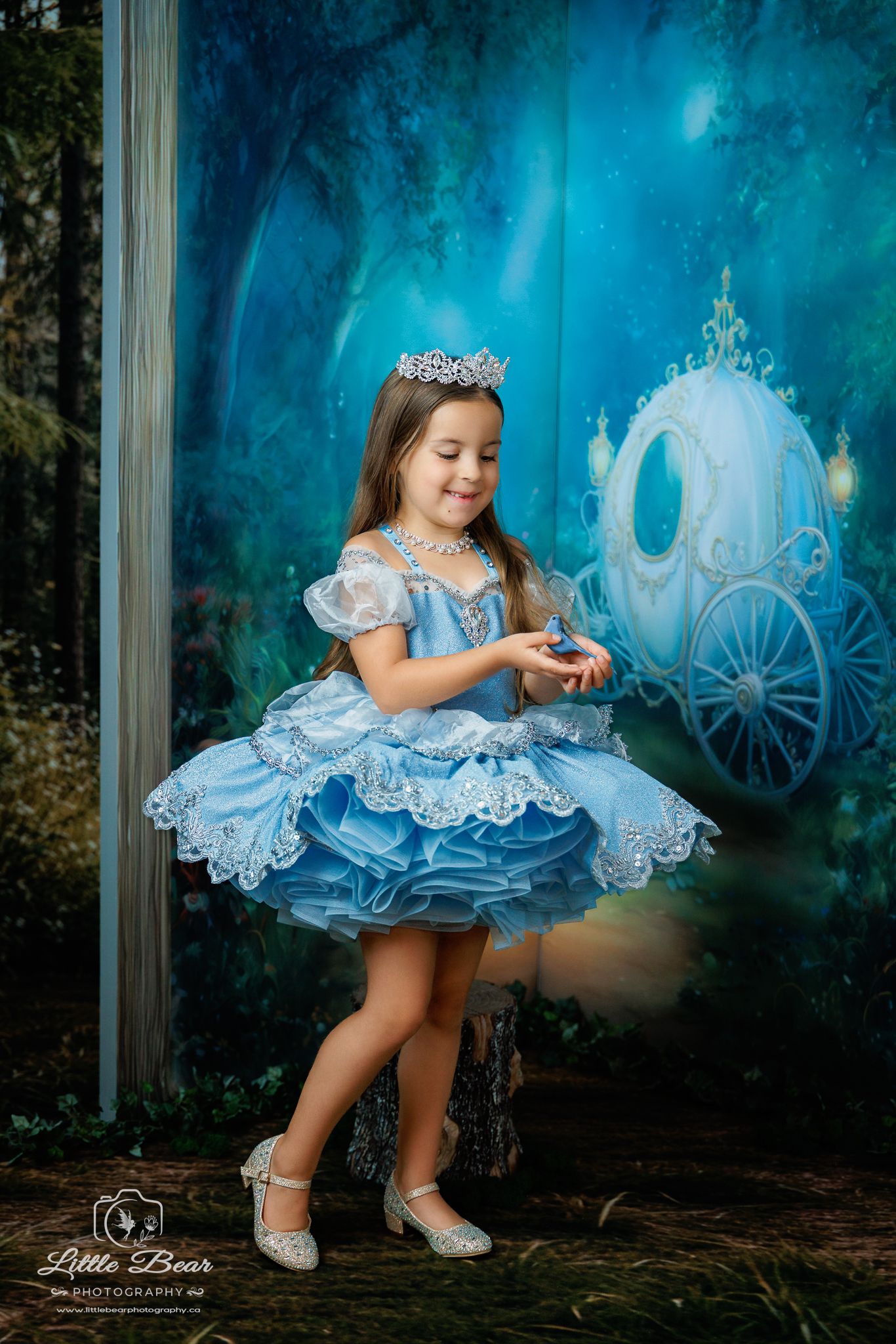 A little girl in a blue Cinderella dress and tiara holds a glass slipper in front of a magical carriage backdrop.