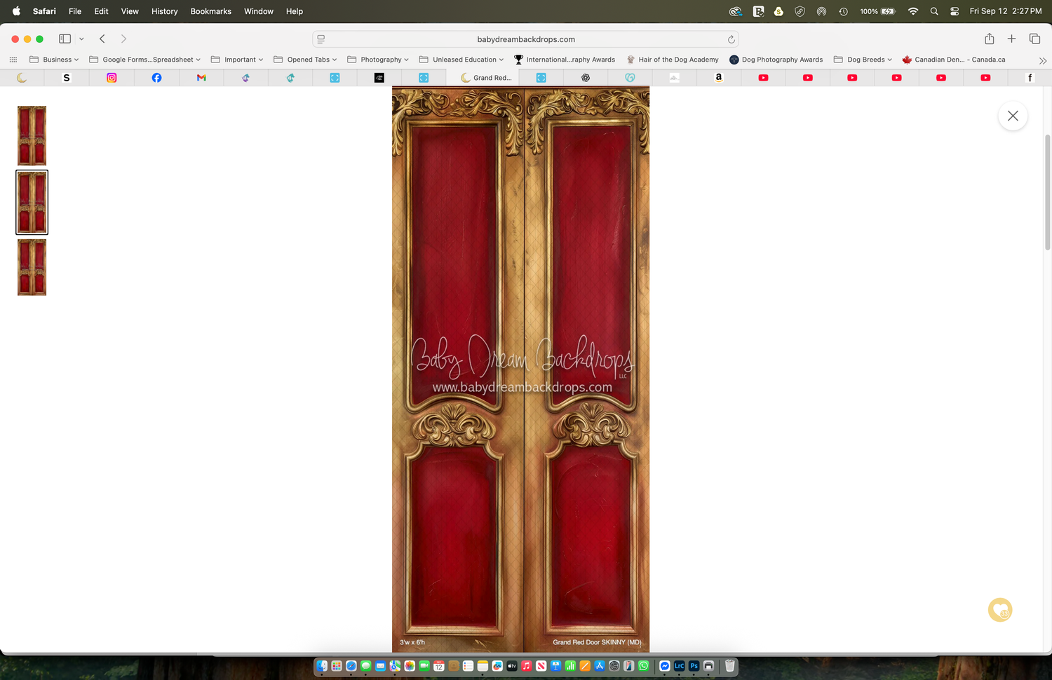 Ornate gold and red double doors with intricate carved baroque details, perfect for elegant event backdrops.