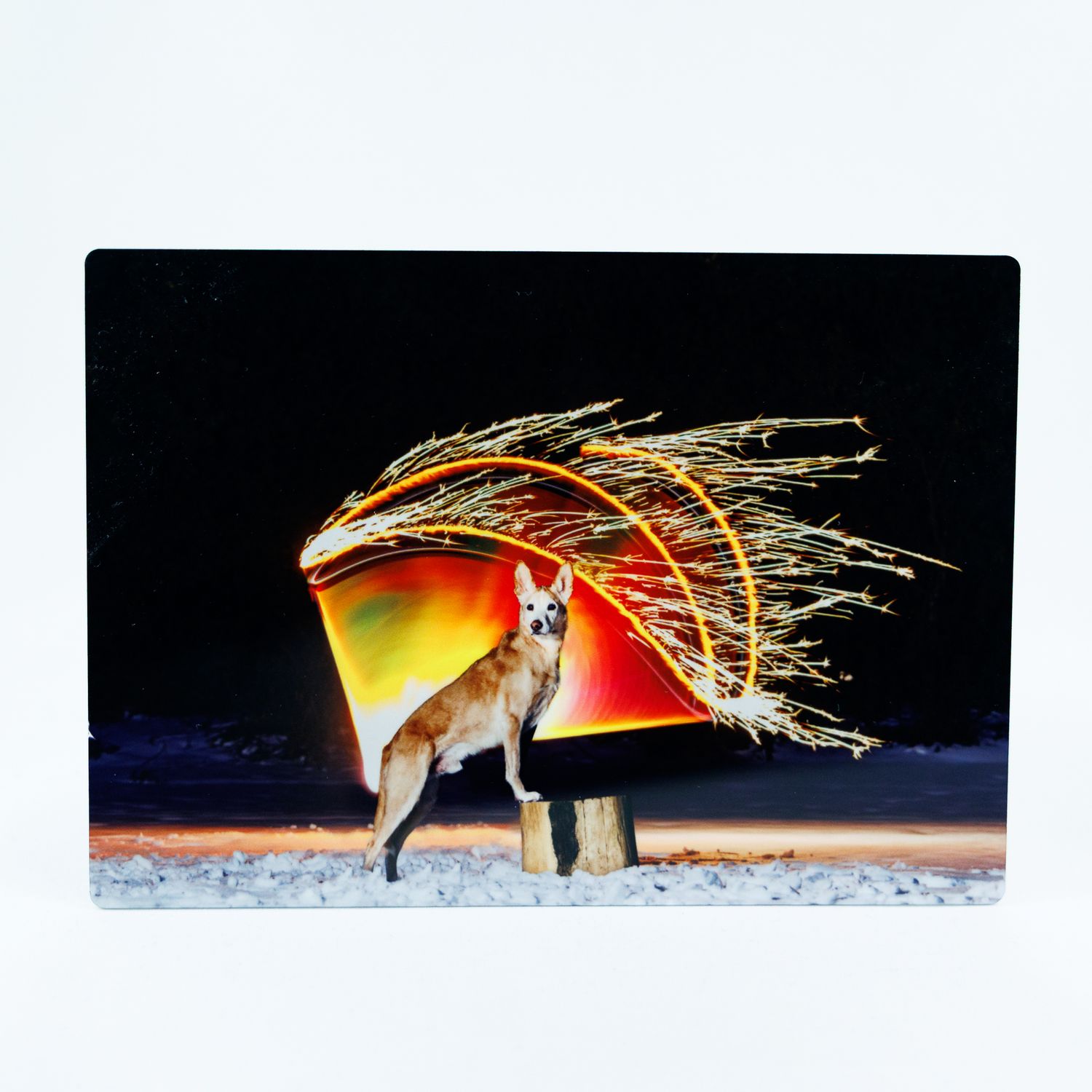 Fox standing before a dramatic fiery arc light display against a dark night sky background.