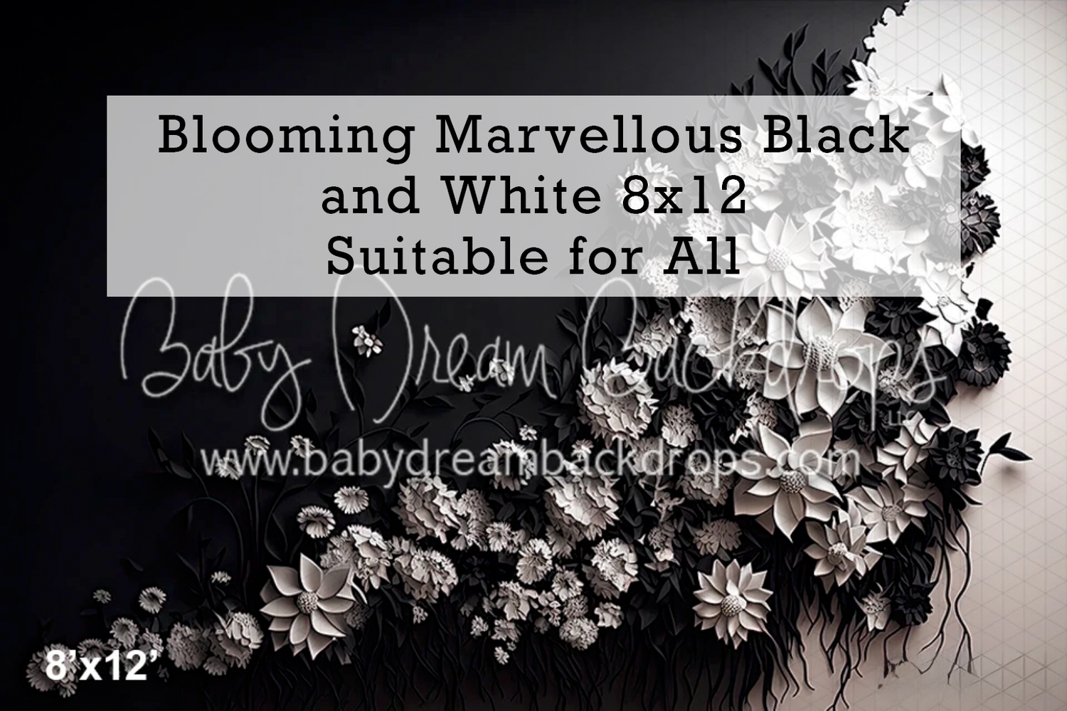 Blooming Marvellous black and white floral wall photography backdrop, 8x12, suitable for all.