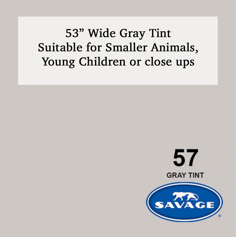 Savage 53-inch wide Gray Tint color #57 paper backdrop roll suitable for smaller animals, children, or close-up photography.