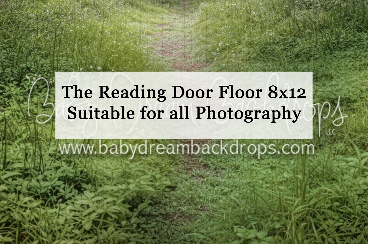 Lush green garden path photography backdrop, 8x12 Reading Door Floor suitable for all photography sessions.
