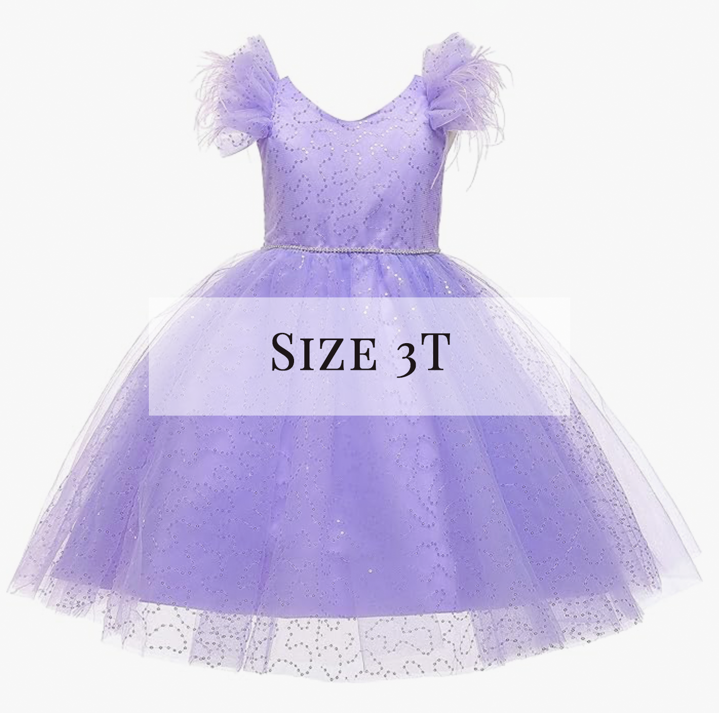Purple tulle ball gown dress with feather sleeves for girls, size 3T.