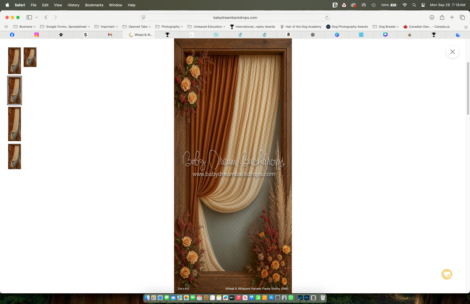 Elegant door panel with draped golden-brown curtains and floral rose decorations on a warm beige background.