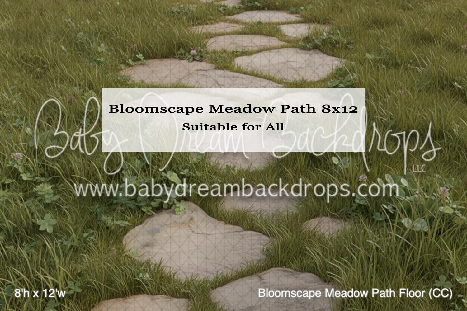 A winding stone path through lush green grass, 8x12 photography backdrop by Baby Dream Backdrops.