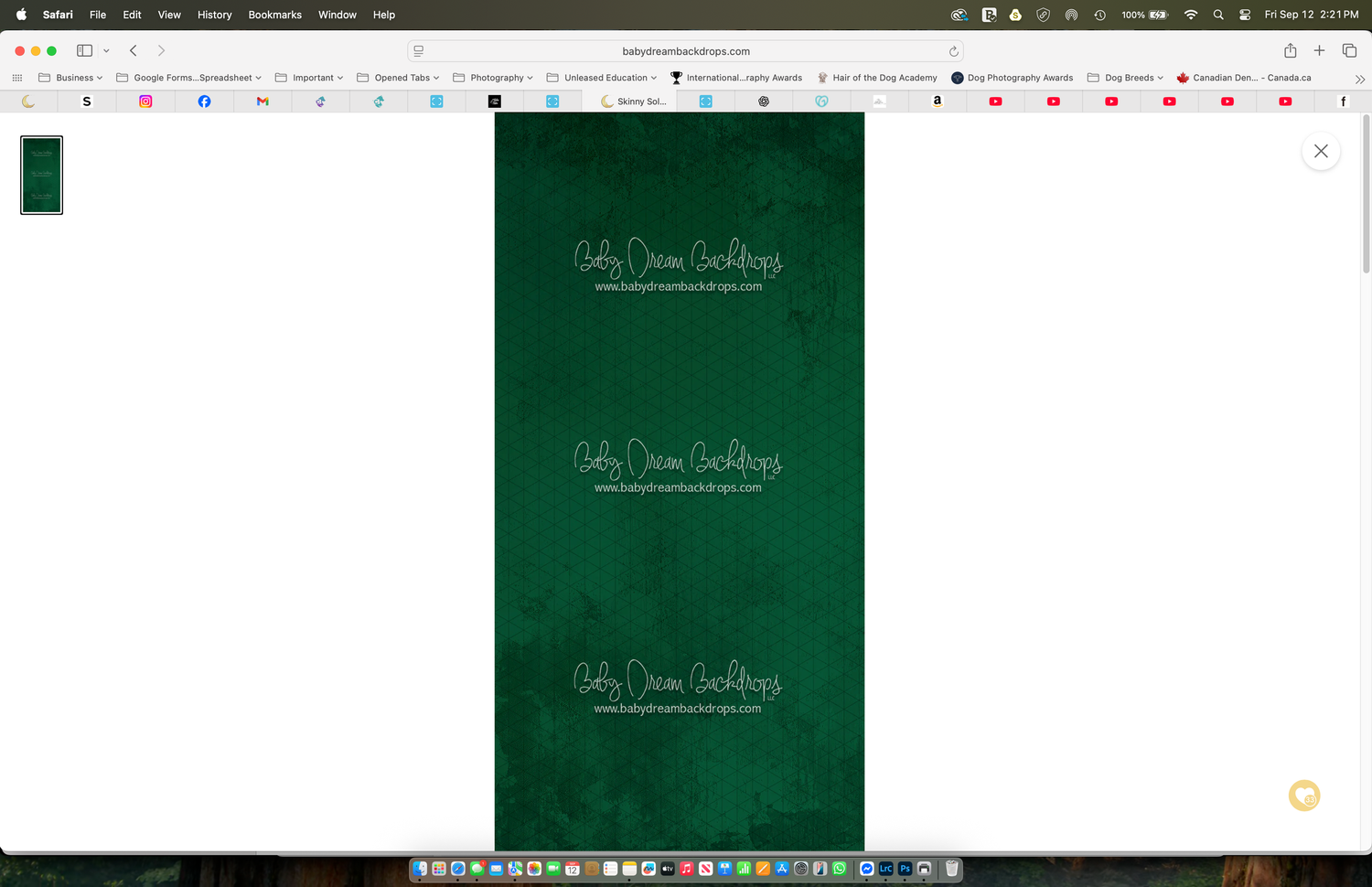 Green textured wedding stationery design with elegant gold script branding for Salty Dream Weddings.