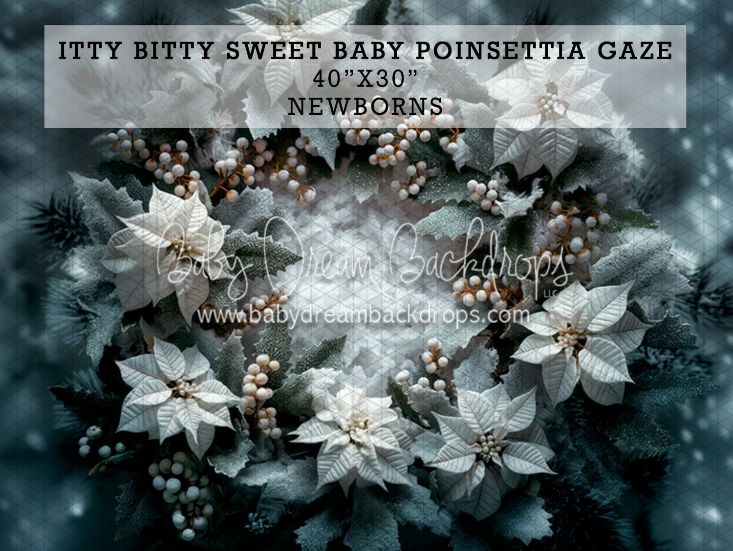 White poinsettia wreath photography backdrop for newborns, 40x30 inches, featuring snowy florals and berries.