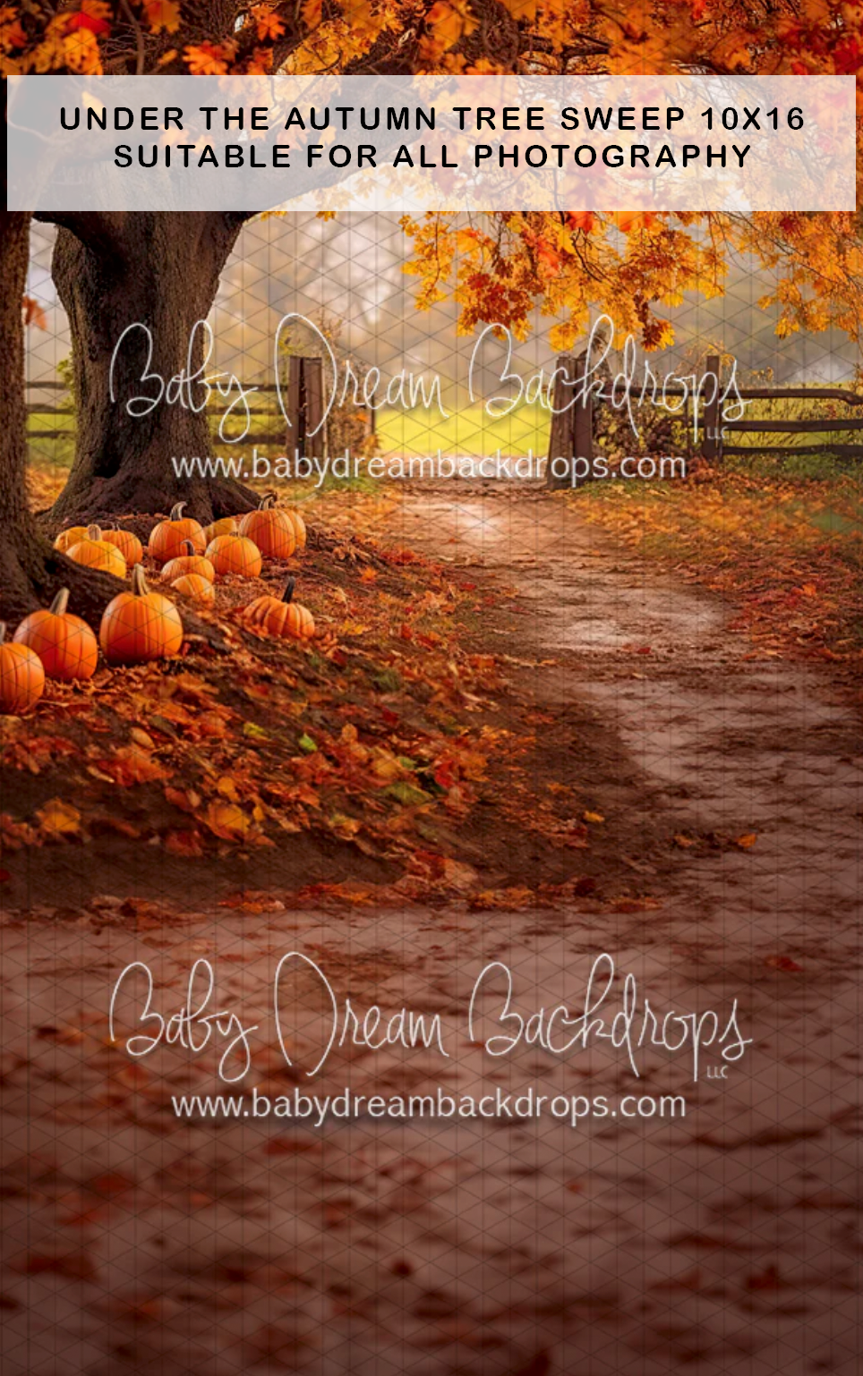 Under a large autumn tree with pumpkins and fallen leaves sweep backdrop, 10x16ft.