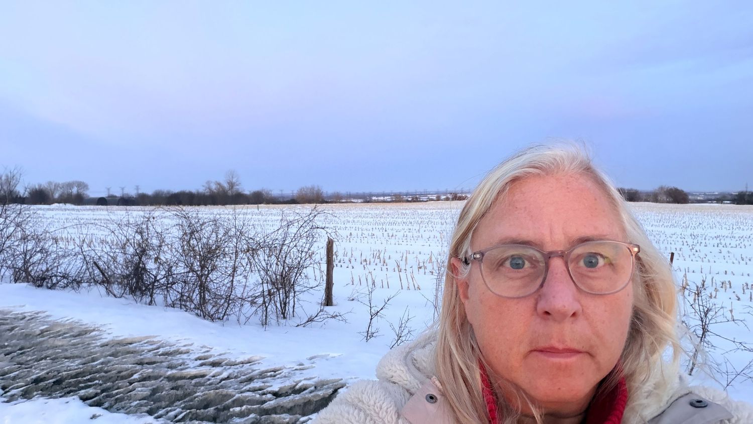 Woman with blonde hair and glasses takes a selfie in front of a snow-covered winter landscape on an overcast day.