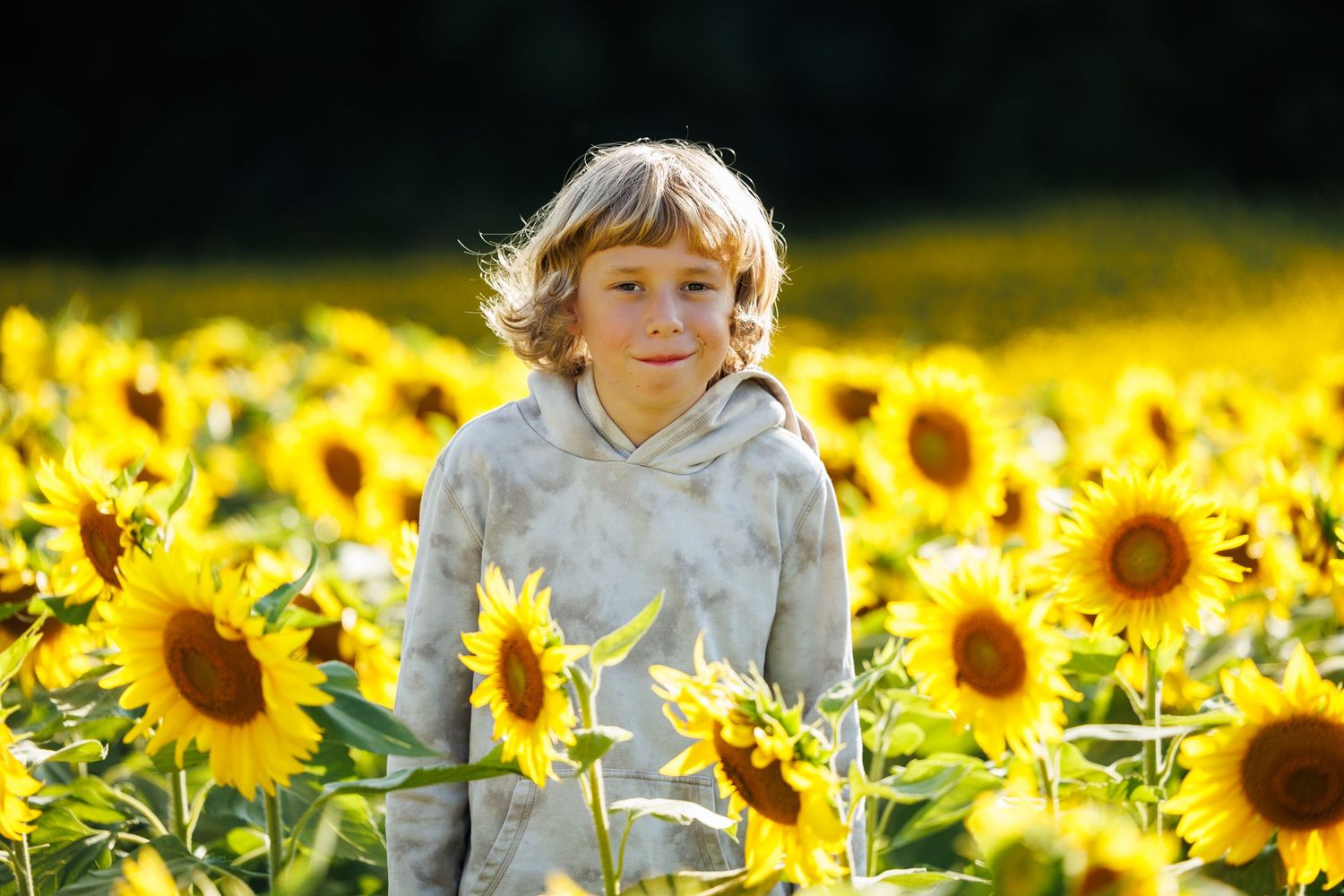 Blond child in gray hoodie smiling among tall yellow sunflowers in a sunny field.