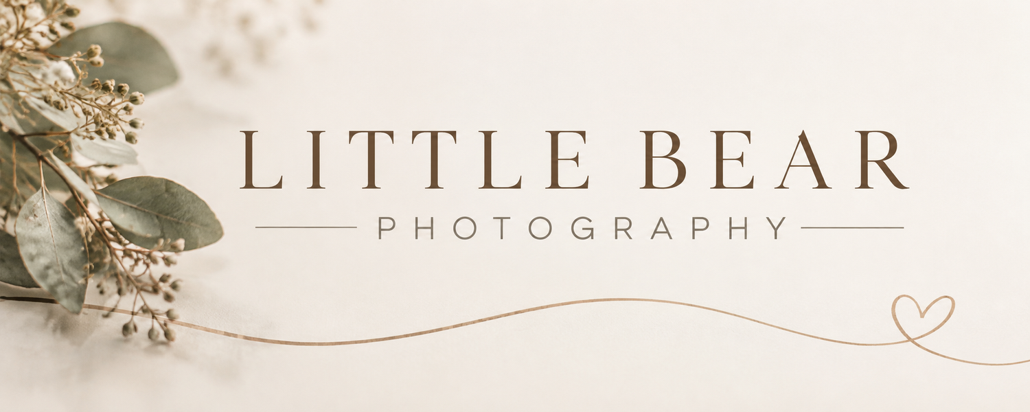 Little Bear Photography logo with elegant text, a delicate heart line drawing, and dried eucalyptus sprigs on a soft cream background.