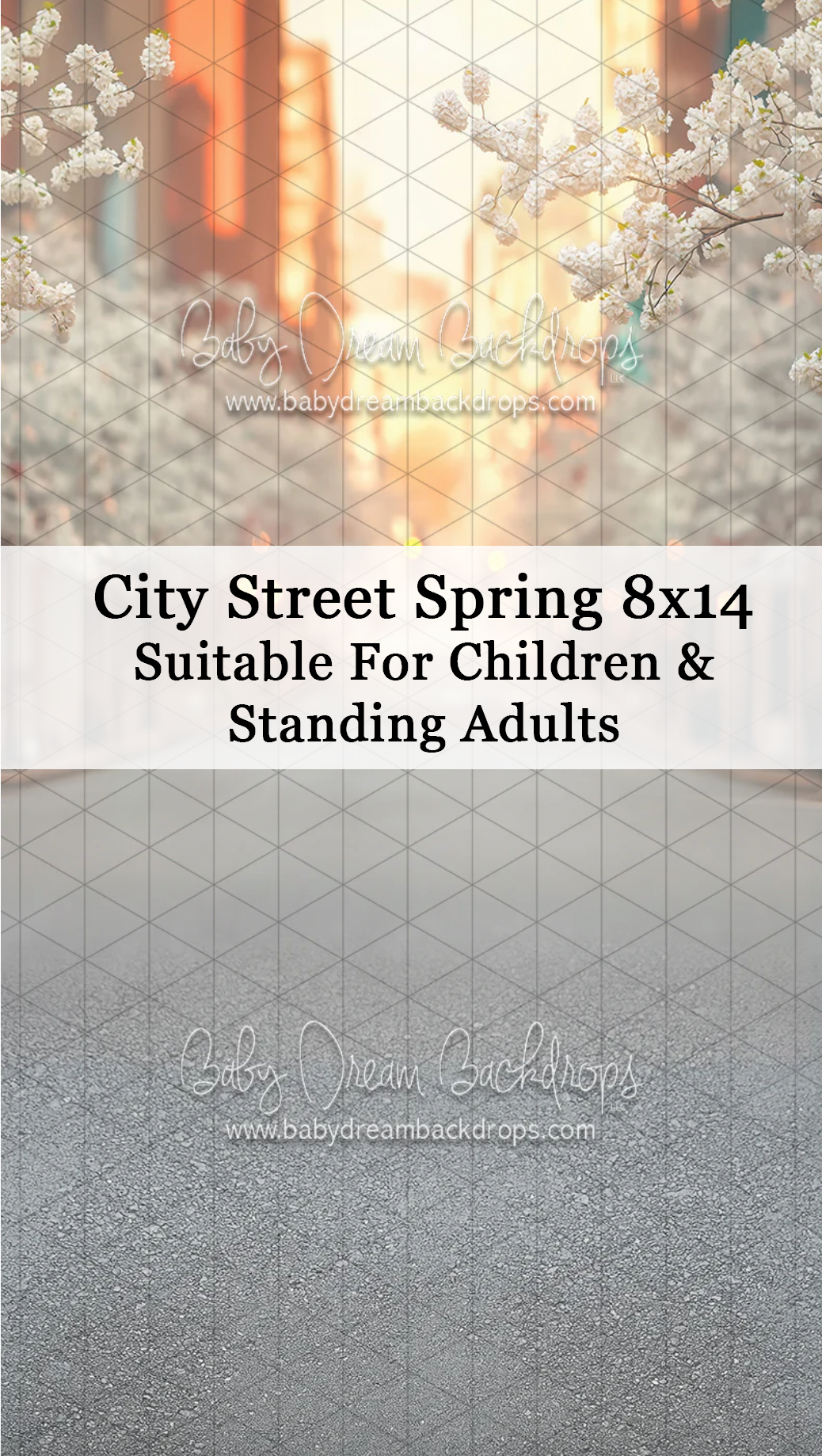 City Street Spring 8x14 photography backdrop with blossoming trees and urban background, suitable for children and standing adults.