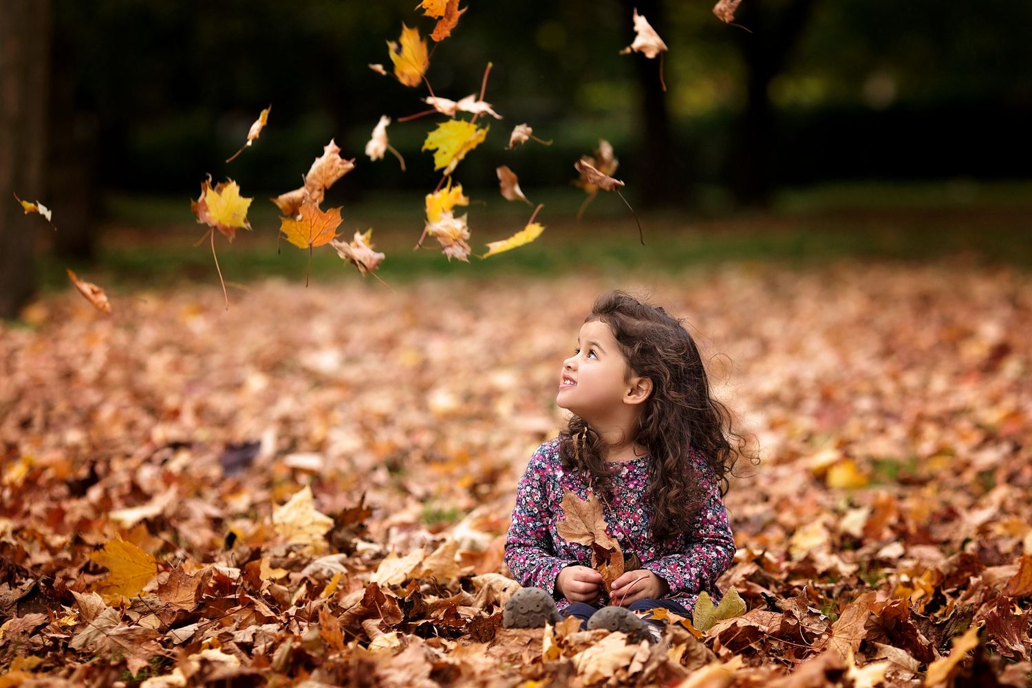 A young girl sits in a pile of autumn leaves, looking up as colorful fall leaves cascade down around her in a park.