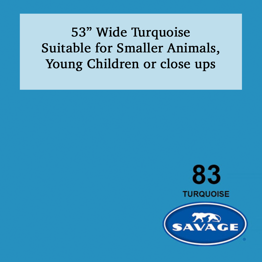 Savage 53-inch wide Turquoise photography backdrop #83, suitable for smaller animals, young children, or close-up shots.