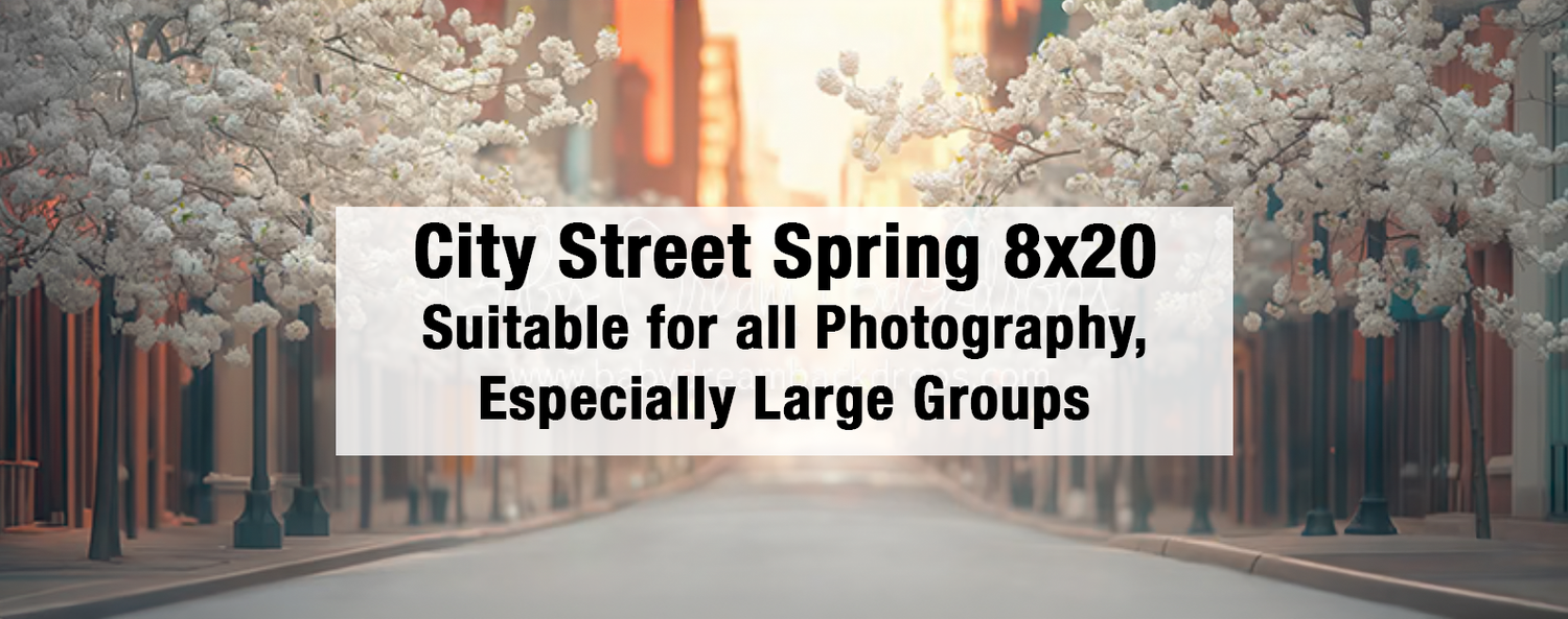 A serene city street lined with blooming white spring trees, ideal as an 8x20 photography backdrop for large groups.