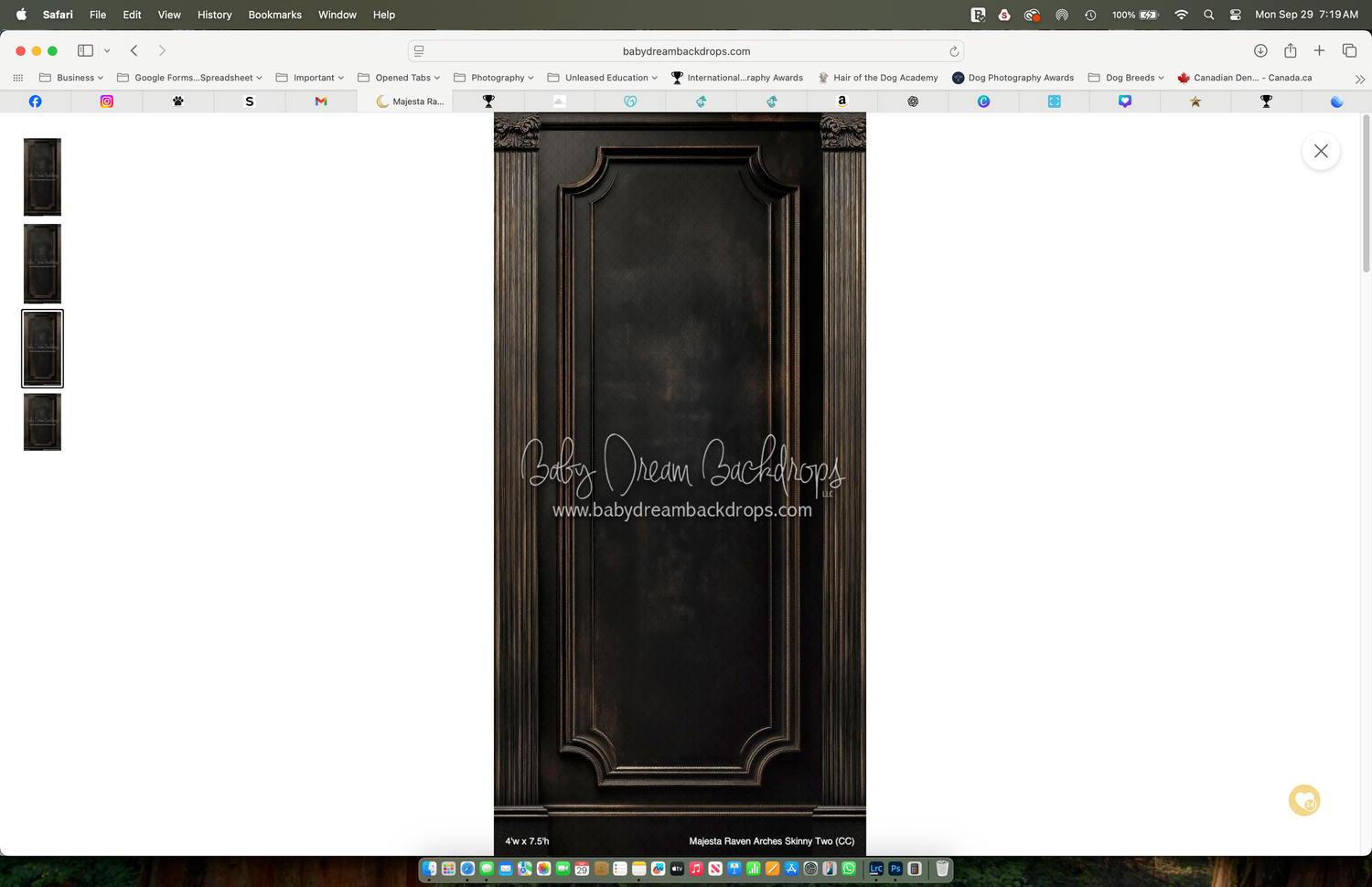 Dark ornate vintage door photography backdrop with elegant raised panel details, ideal for portrait photography sessions.