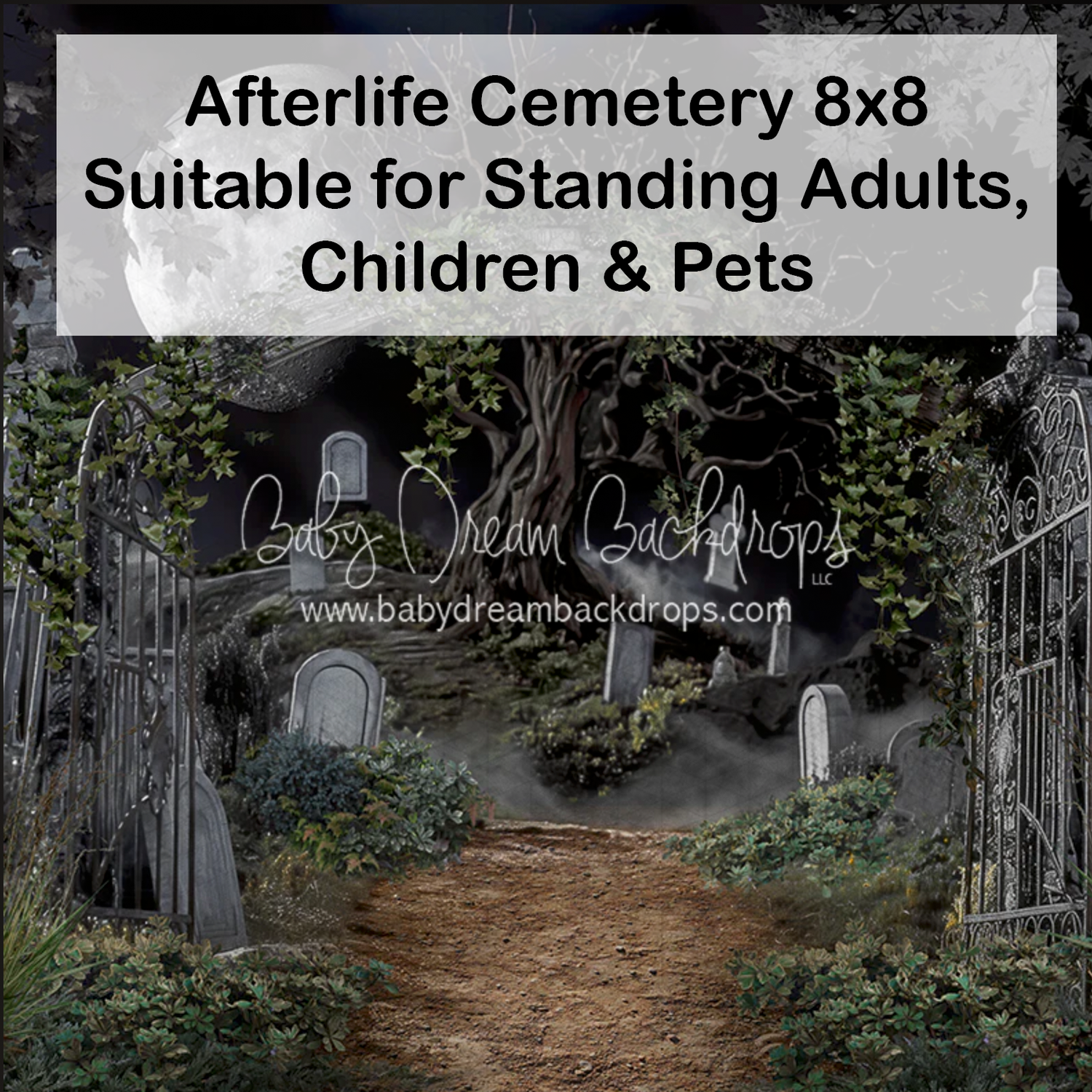 Afterlife Cemetery 8x8 photography backdrop with gravestones, iron gate, and misty atmosphere for adults, children, and pets.
