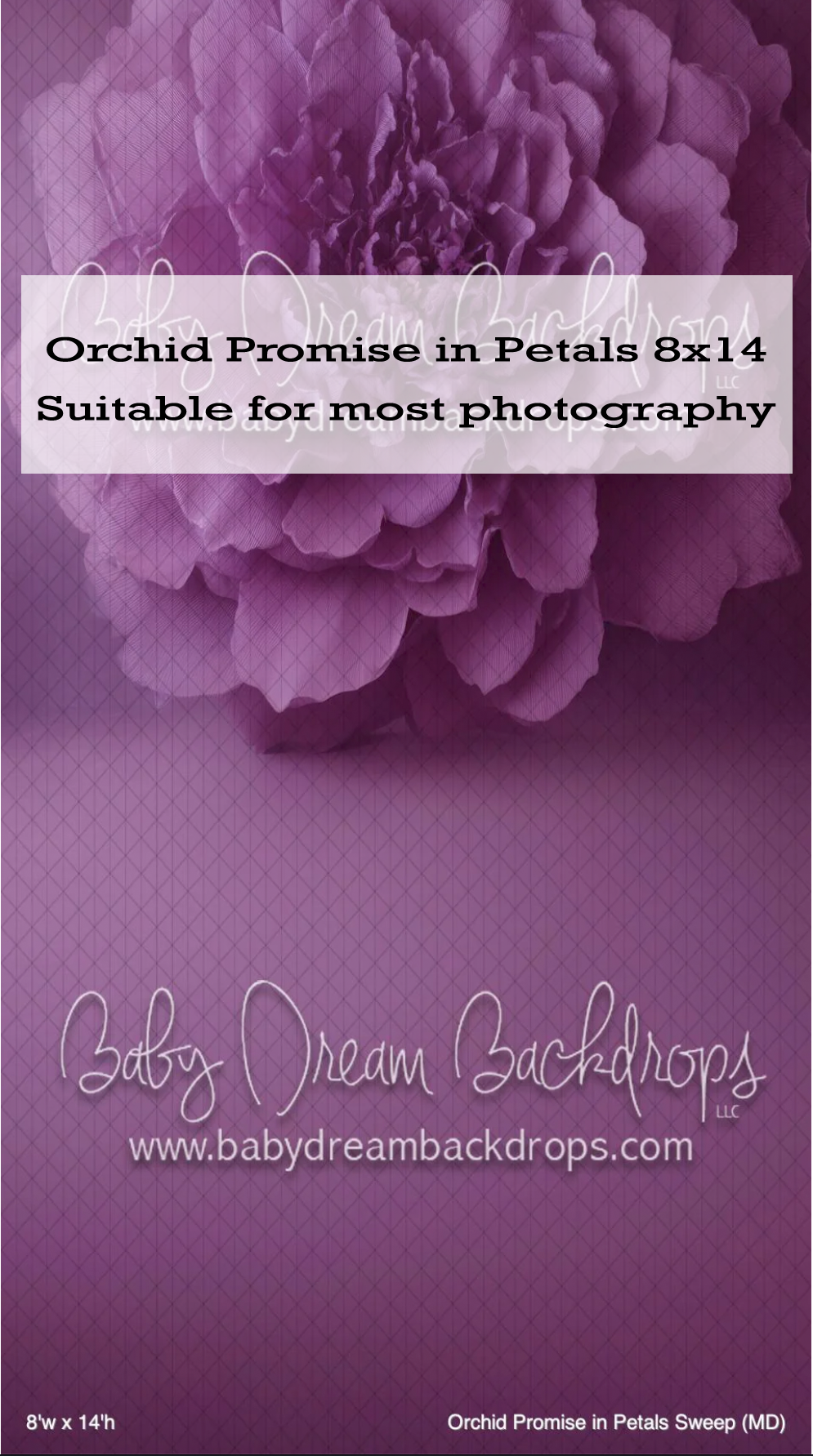 Orchid Promise in Petals 8x14 photography backdrop featuring a large purple peony on a violet background.