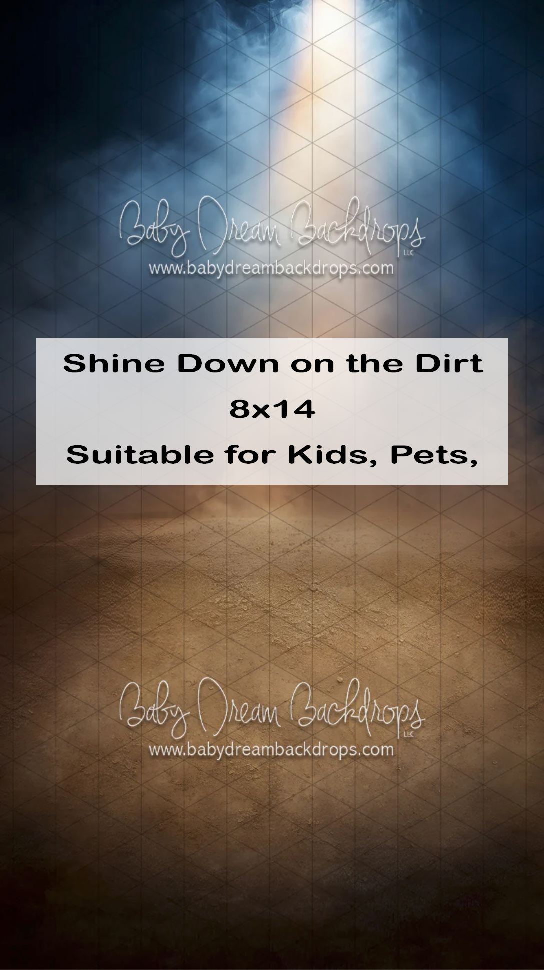 Shine Down on the Dirt 8x14 backdrop with spotlight beam and warm brown textured floor for kids and pets.