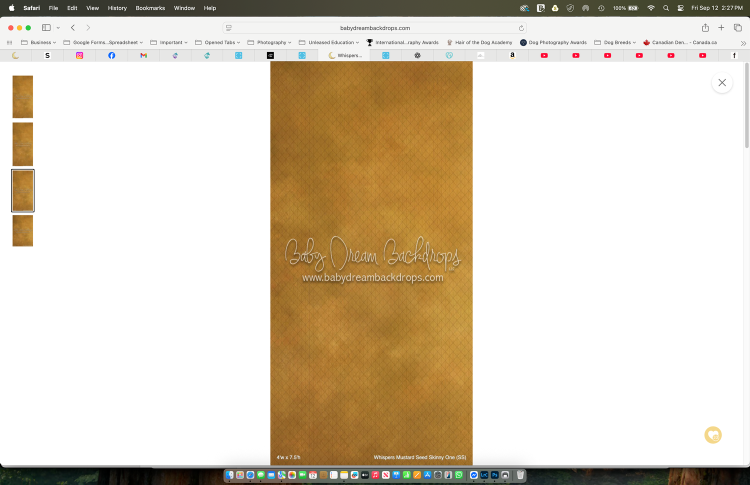 Golden brown textured photography backdrop with subtle watermark branding for professional photo sessions.