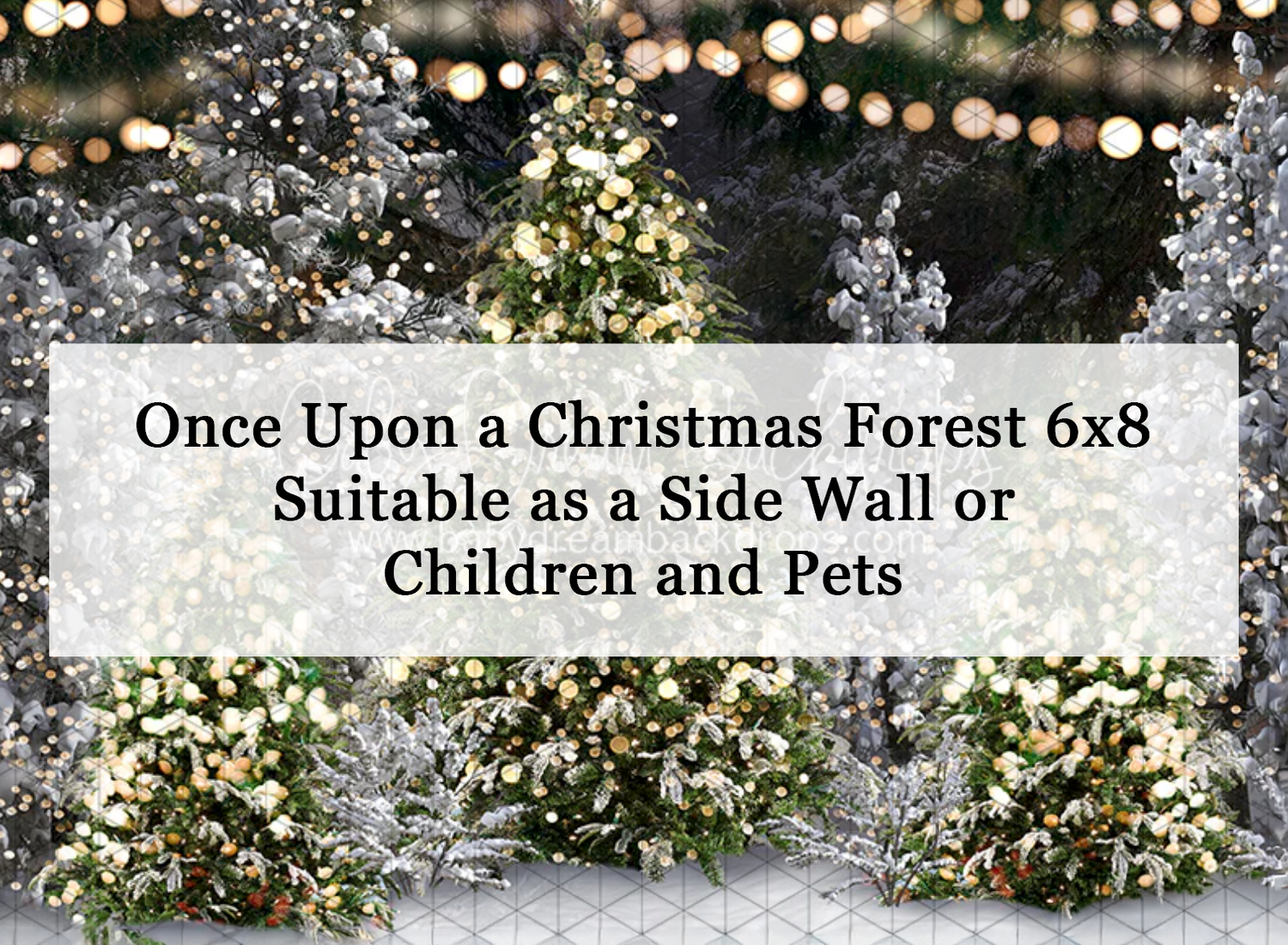 Enchanting Christmas forest backdrop with snow-dusted trees and warm glowing lights, perfect for holiday portrait photography.