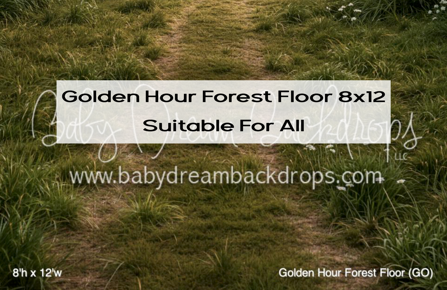 Golden Hour Forest Floor 8x12 photography backdrop featuring a dirt path through lush green grass at golden hour.