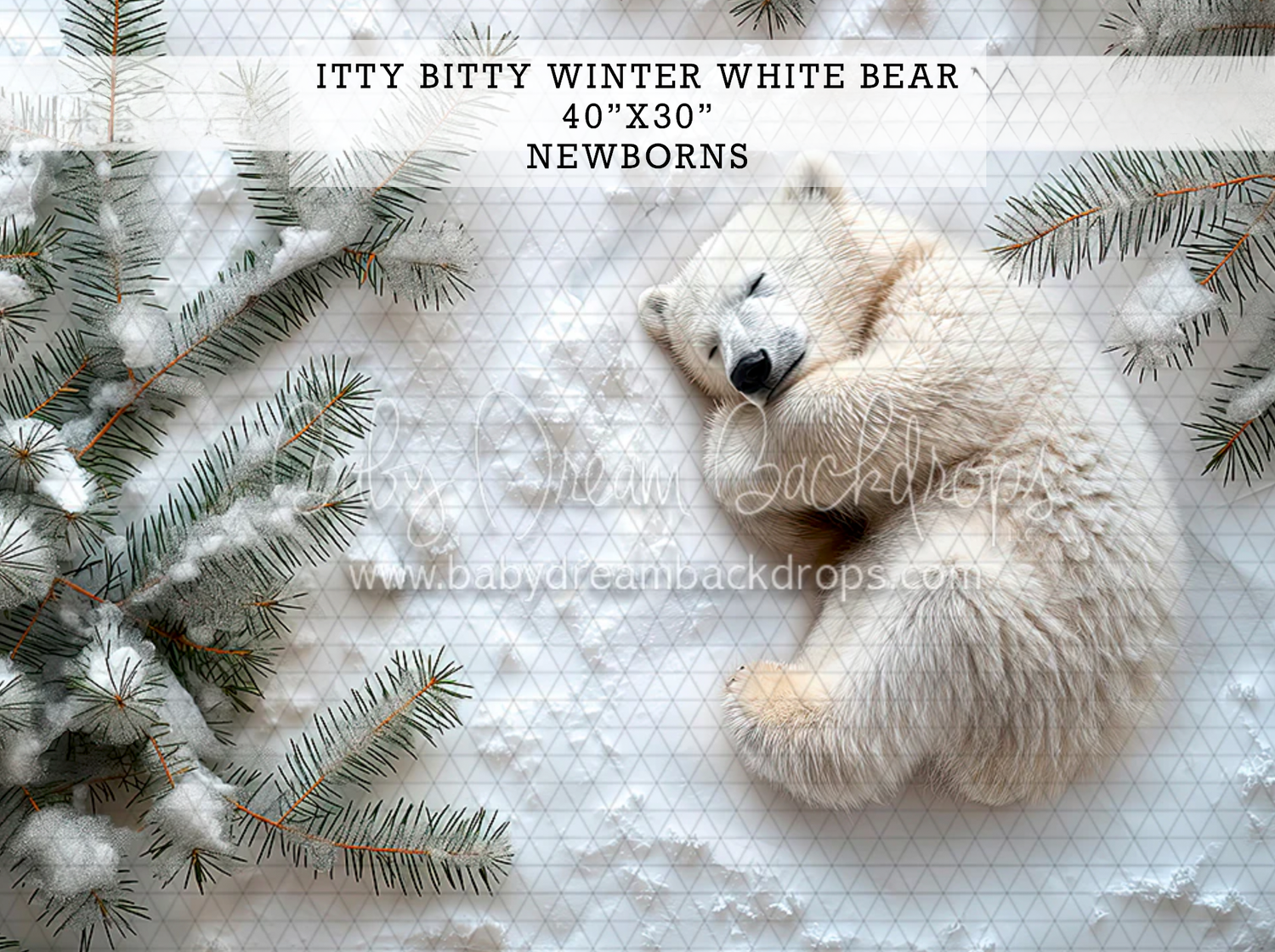 A sleeping polar bear cub on white snow with pine branches, newborn photography backdrop, 40x30 inches.