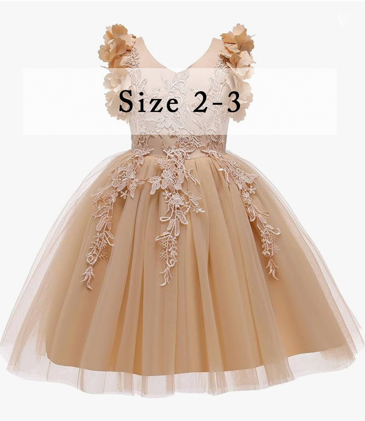 Girls size 2-3 champagne tulle dress with floral lace applique.