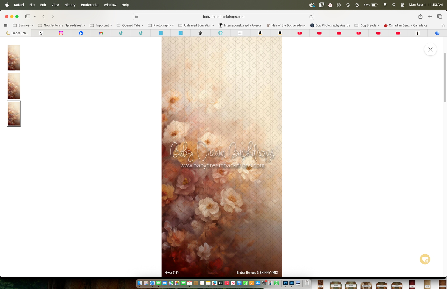 Soft vintage floral painting with warm autumn tones featuring white and orange blooms on a textured beige background.