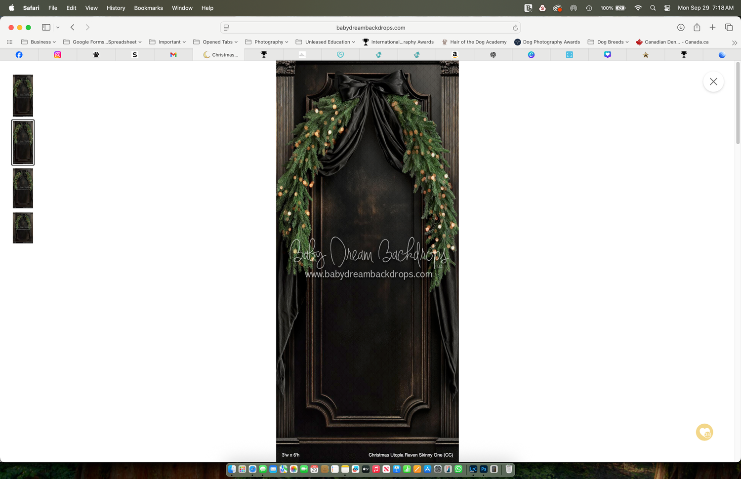 Elegant black front door adorned with lush green garland swag for festive holiday Christmas decor.