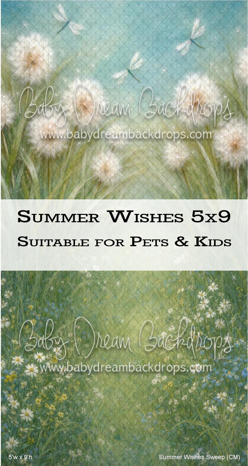 Summer Wishes 5x9 photography backdrop featuring dandelions, daisies, and dragonflies, suitable for pets and kids.