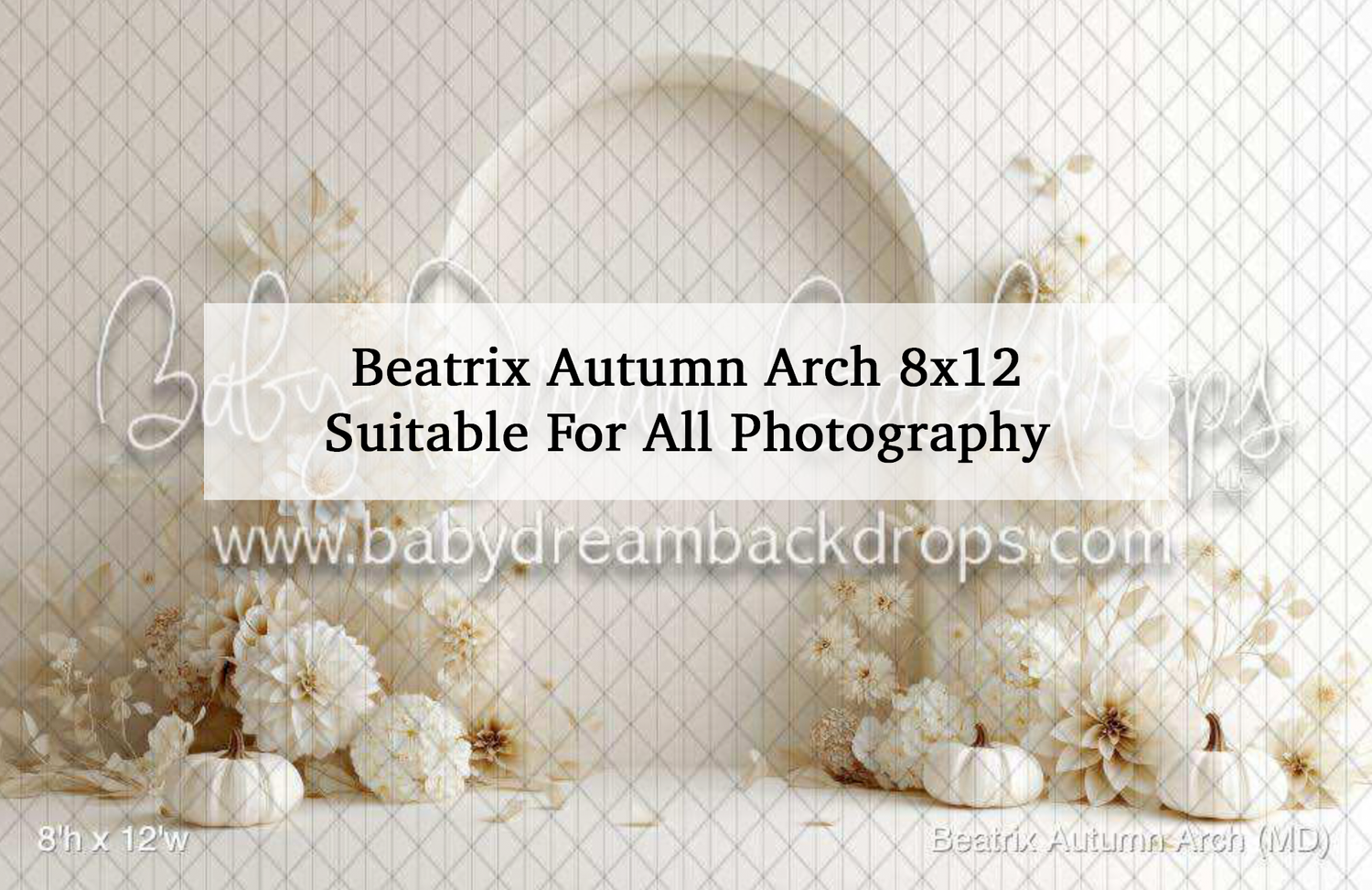 Beatrix Autumn Arch 8x12 photography backdrop with white floral arrangements and elegant arch design.