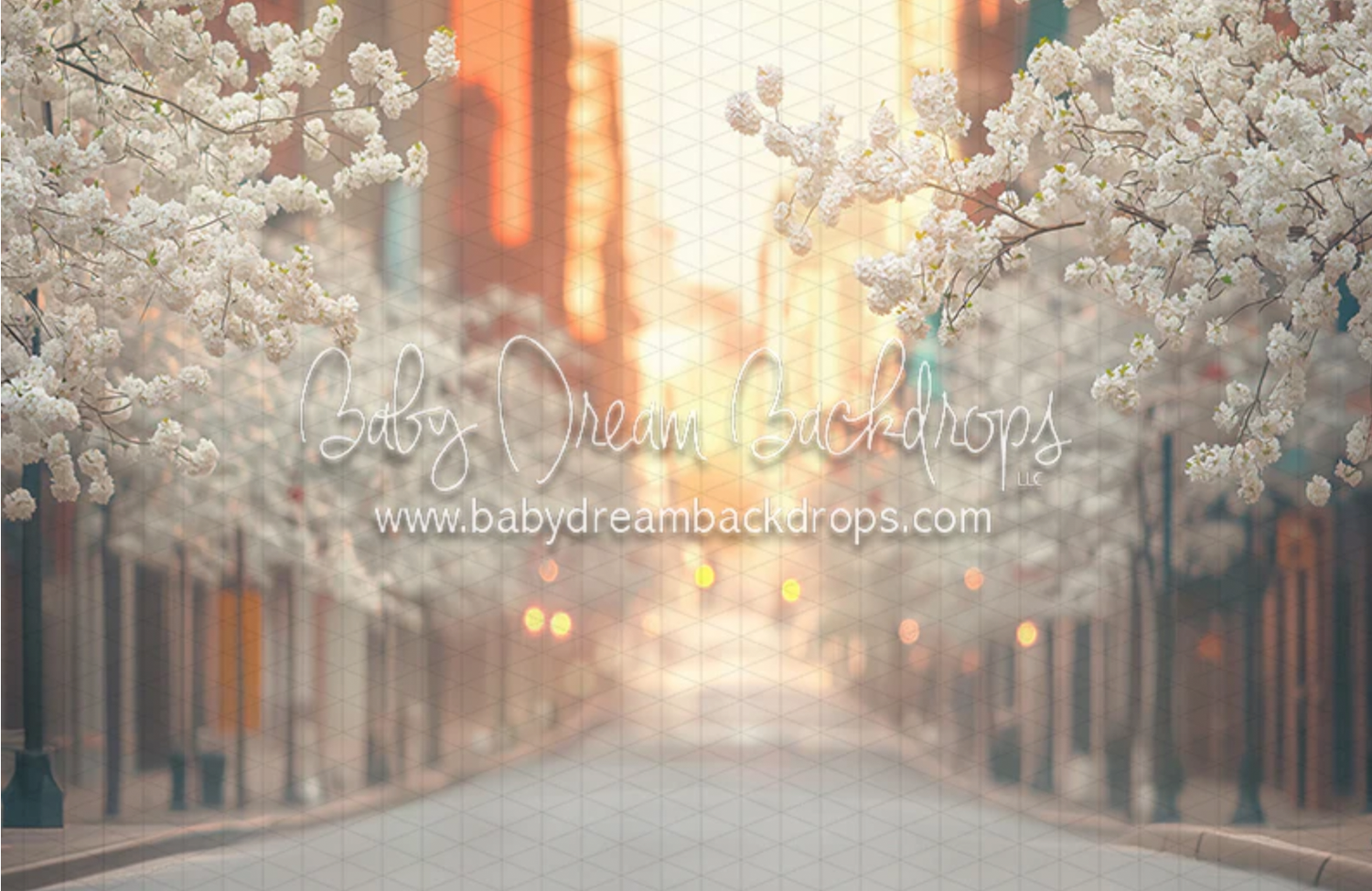 City street spring photography backdrop with blooming white trees and warm bokeh lighting.