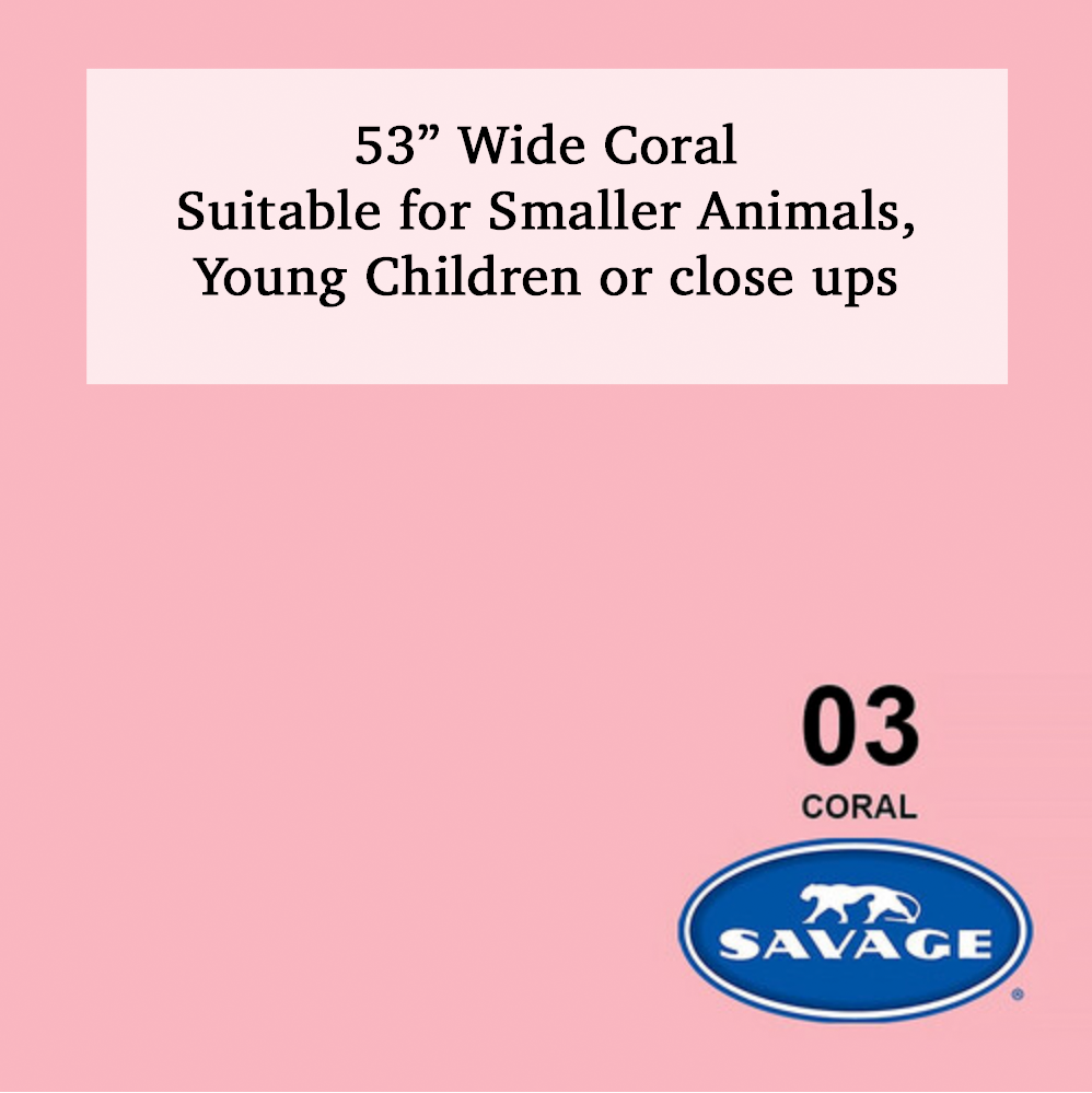 Savage 53-inch wide Coral color #03 paper backdrop roll suitable for smaller animals, children, or close-up photography.