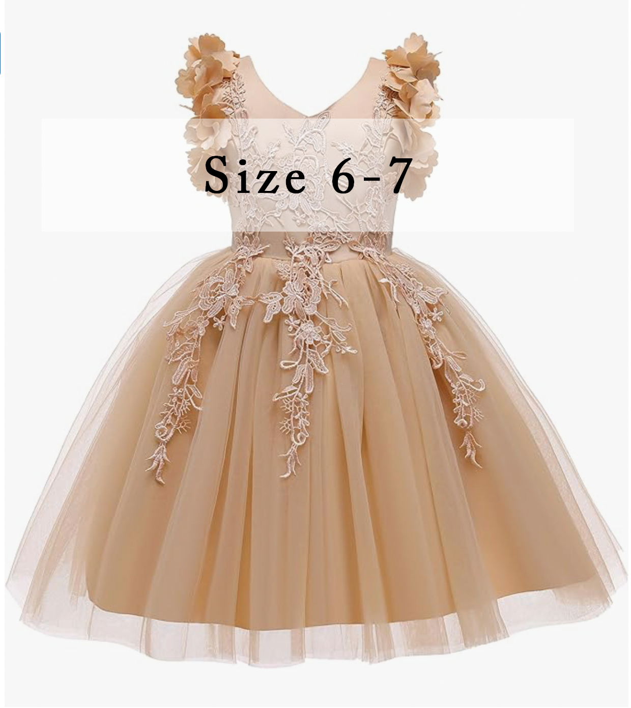 Champagne floral tulle dress for girls size 6-7 with lace applique details.