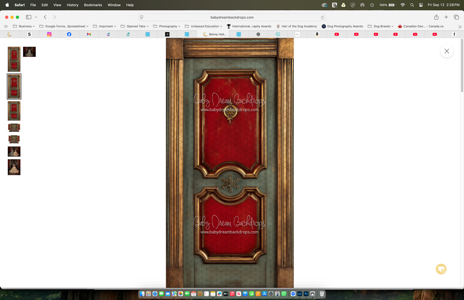 Screenshot of a website displaying an ornate red and gold decorative door with intricate carved panel details.