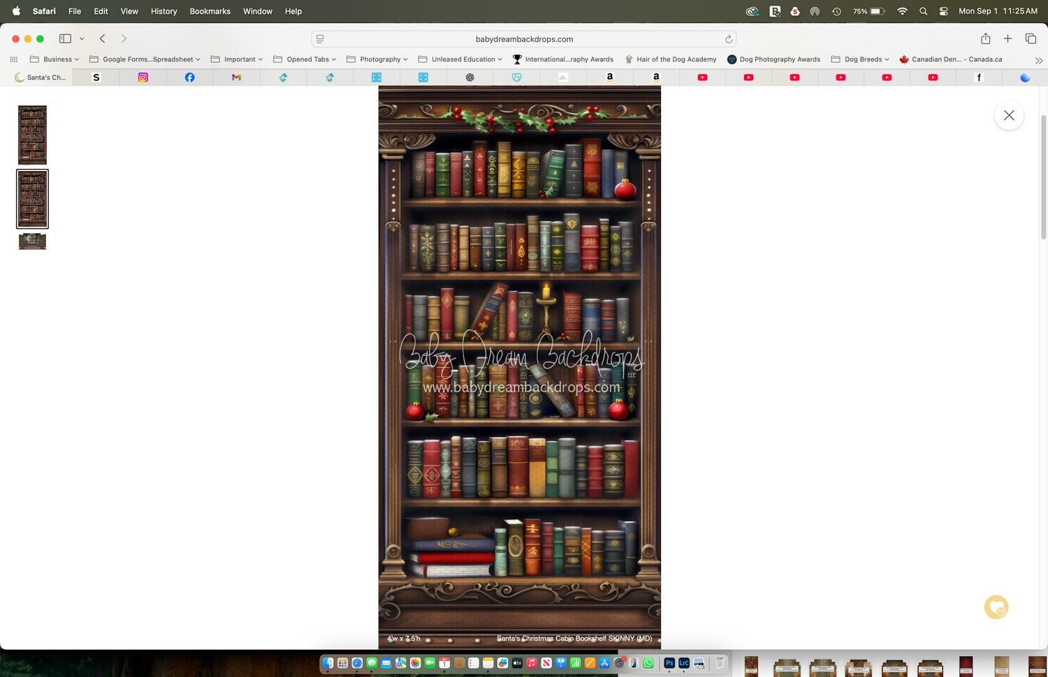 Decorative bookshelf wallpaper featuring rows of vintage leather-bound books displayed on wooden shelves.