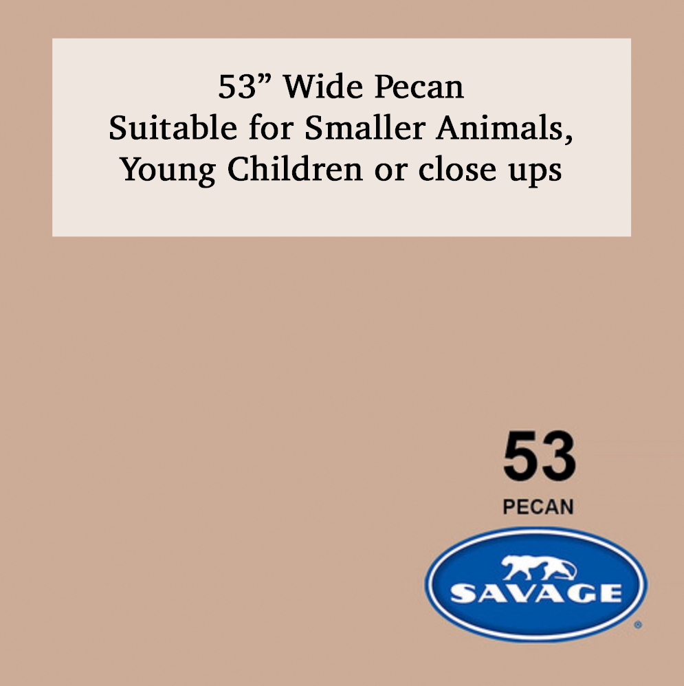 Savage 53-inch wide Pecan beige photography backdrop #53, suitable for smaller animals, young children, or close-up shots.