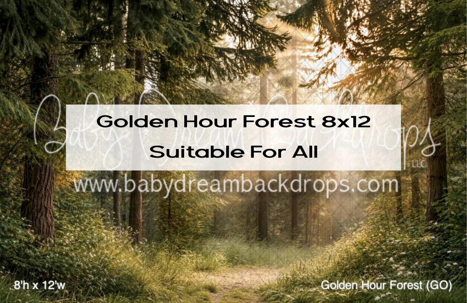 Sunlit golden hour forest photography backdrop with lush green trees and a winding path, 8x12 size suitable for all.