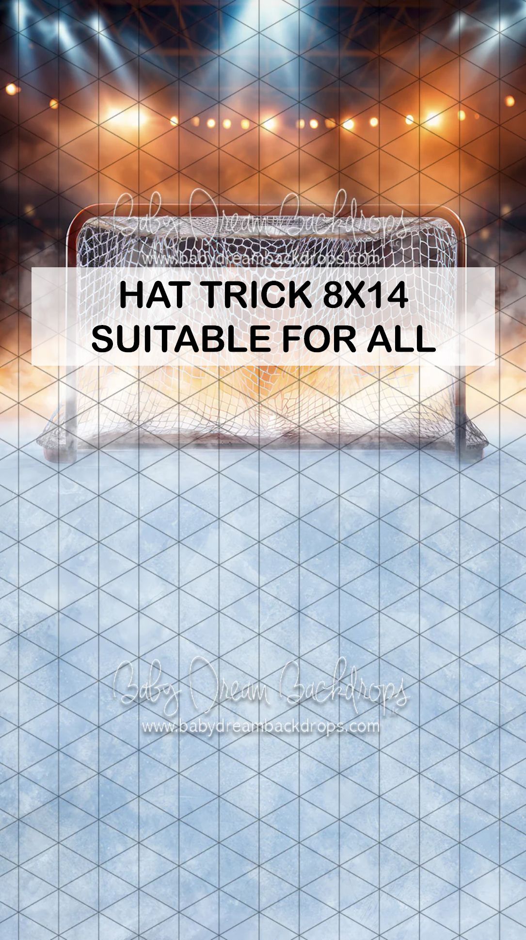 Hockey rink backdrop with stadium lights and goal net, 8x14 size suitable for all photography sessions.